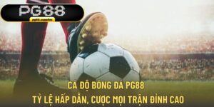 Cá Độ Bóng Đá