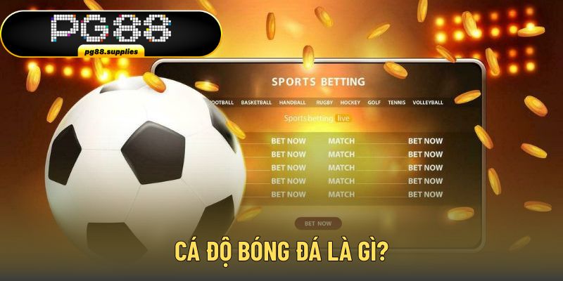 Cá độ bóng đá là lựa chọn chinh phục môn thể thao Vua