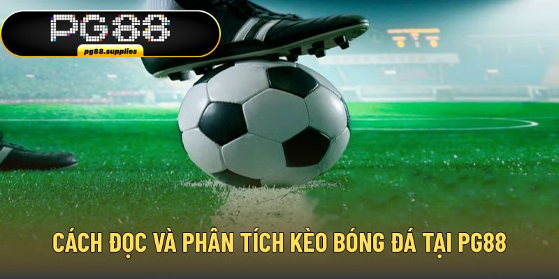 Hướng dẫn cách đọc và phân tích tỷ lệ cược bóng đá