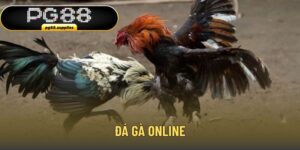 Đá gà online