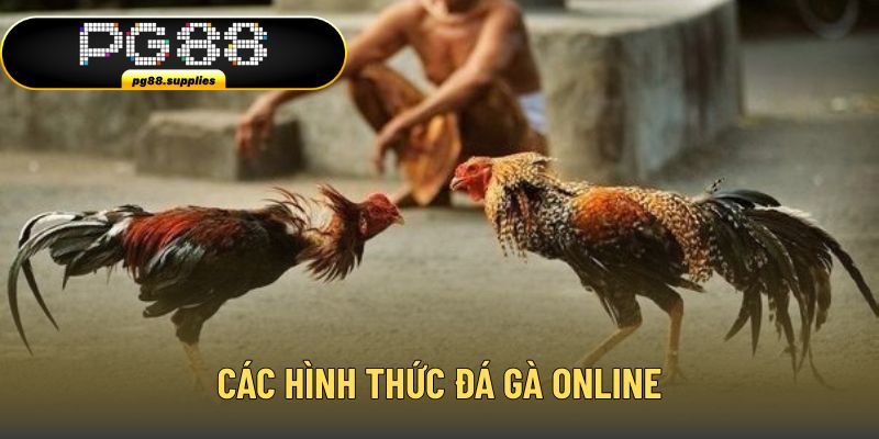 Top 3 hình thức đấu chiến kê hấp dẫn