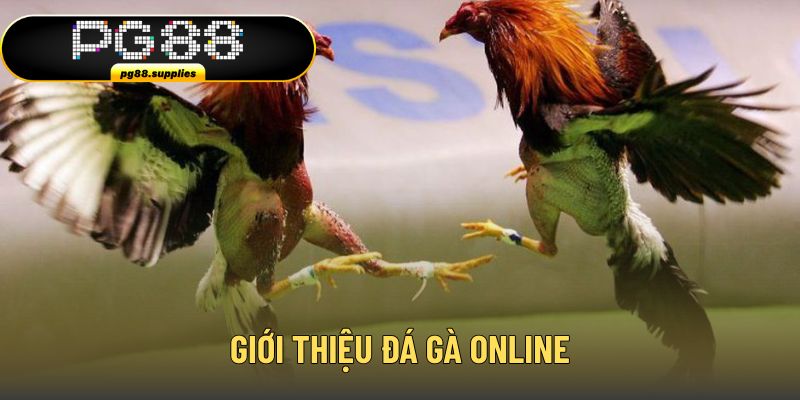 Thông tin chung về sảnh đá gà online