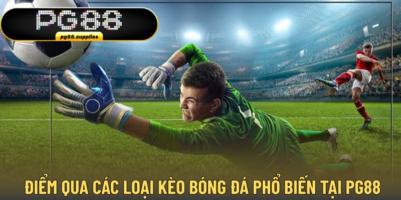 Điểm qua những loại kèo bóng đá đang hot tại PG88
