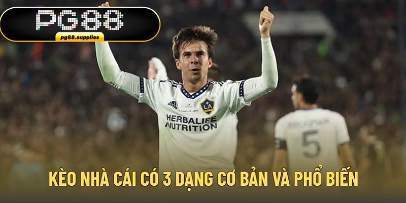 Kèo nhà cái có 3 dạng cơ bản và phổ biến