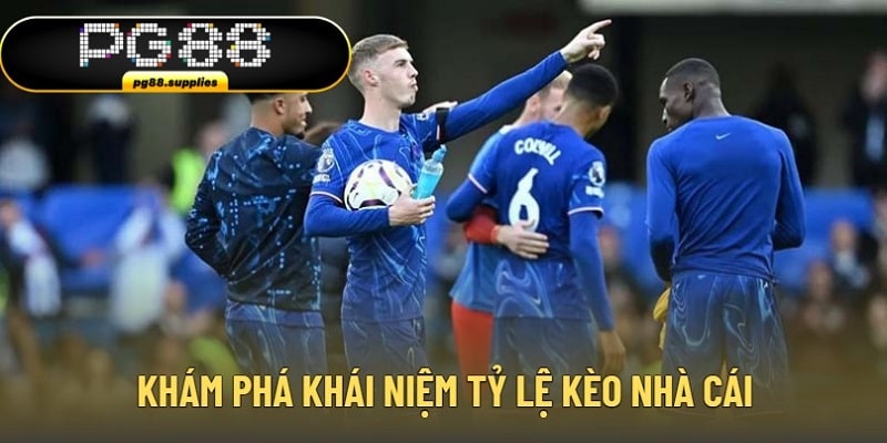 Khám phá khái niệm tỷ lệ kèo nhà cái