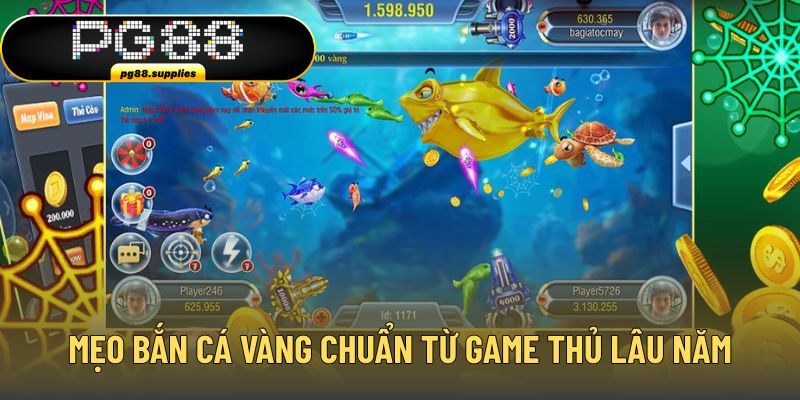 Mẹo bắn cá vàng chuẩn xác từ game thủ lâu năm