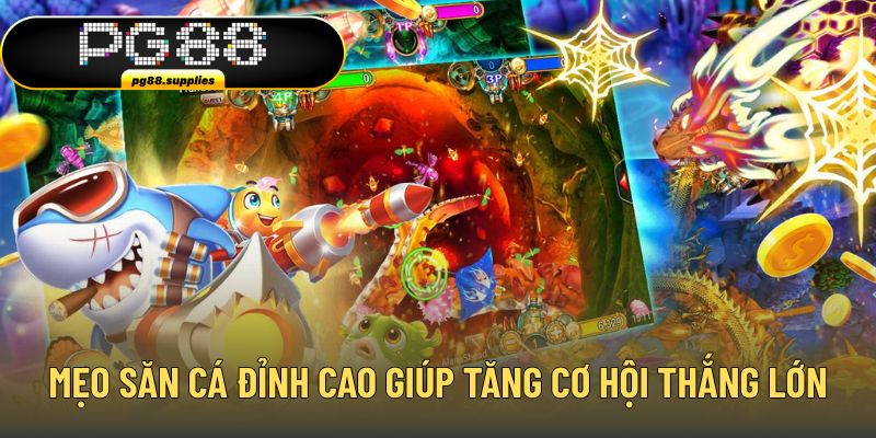 Mẹo săn cá đỉnh cao giúp tăng cơ hội thắng lớn