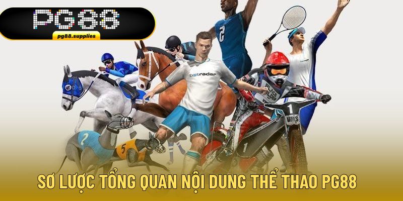 Sơ lược tổng quan thông tin sảnh thể thao PG88